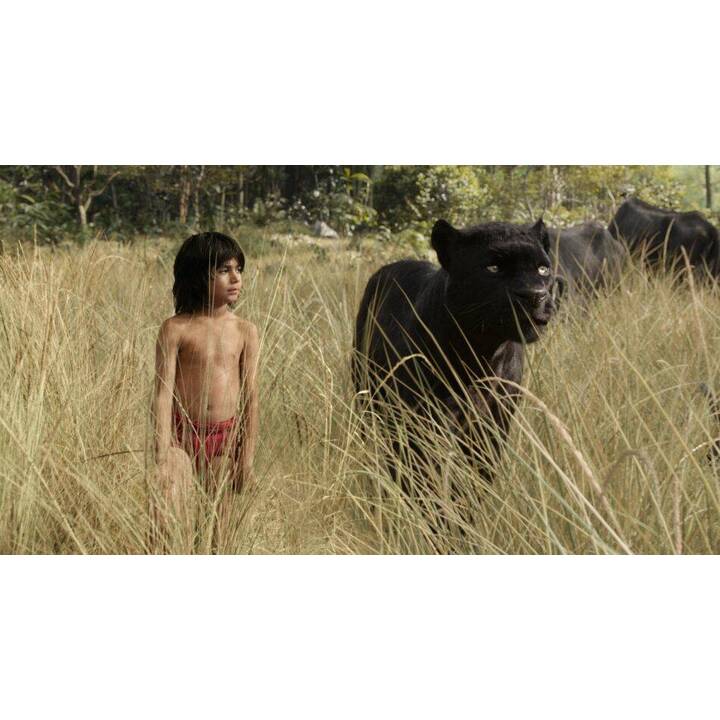 The Jungle Book (2016) (Blu-ray 3D + Blu-ray) (DE)