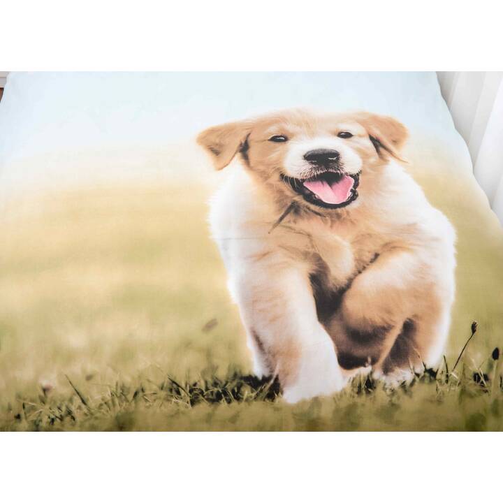 HERDING Kissen- & Duvetbezug Puppy (Hund, Baumwolle)