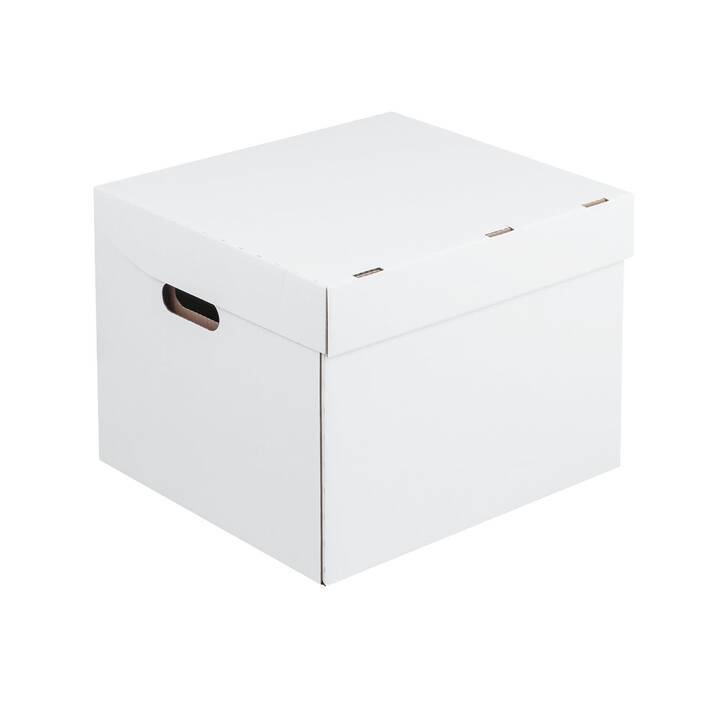 BRIEGER Archivbox (33 cm x 38.5 cm x 29.5 cm)
