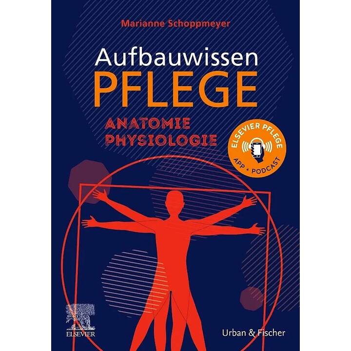 Aufbauwissen Pflege Anatomie