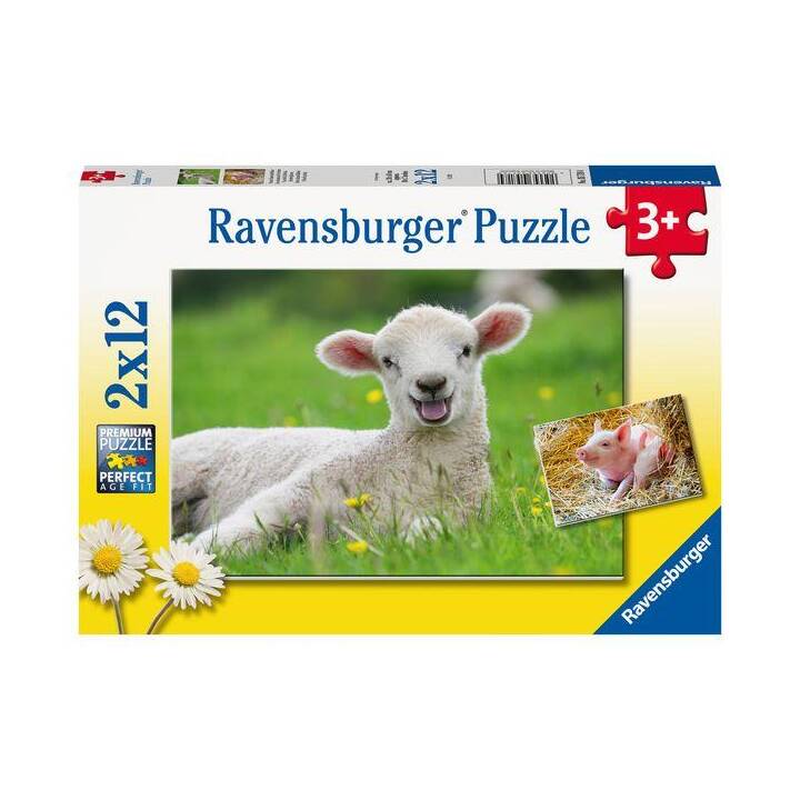 RAVENSBURGER Bauernhof Tiere Puzzle (12 x 12 Stück)