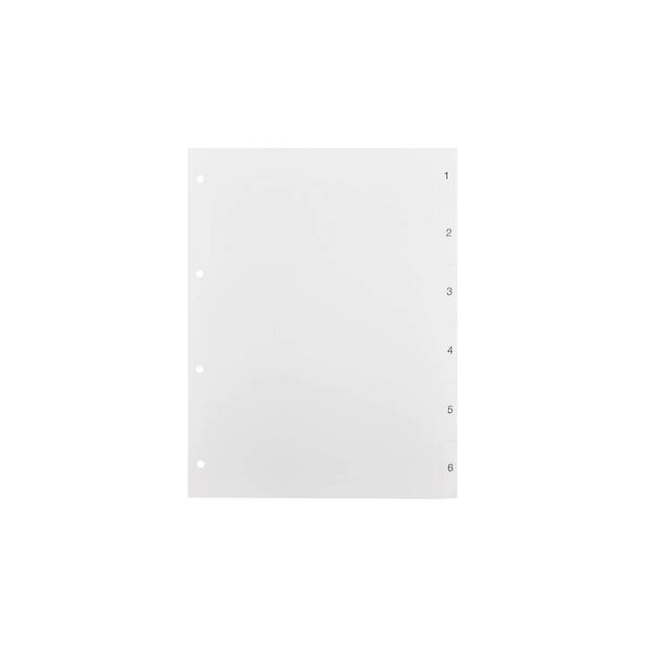BIELLA Registro (6 x, In bianco)