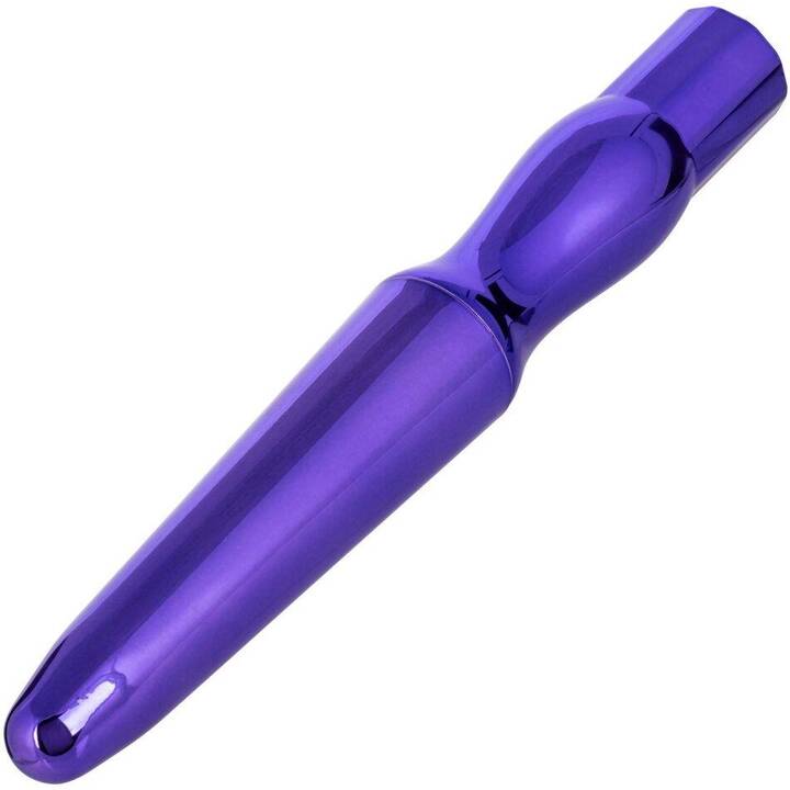 CALEXOTICS Anal Vibrator