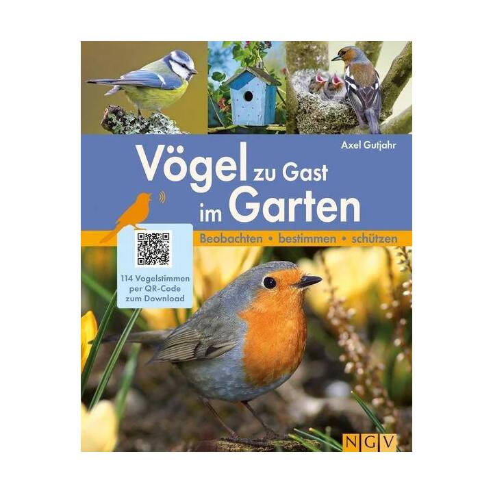 Vögel zu Gast im Garten - Beobachten, bestimmen, schützen