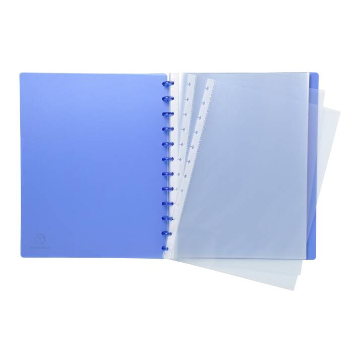 EXACOMPTA Dossiers chemises 86352E (Transparent, Bleu, A4, 1 pièce)