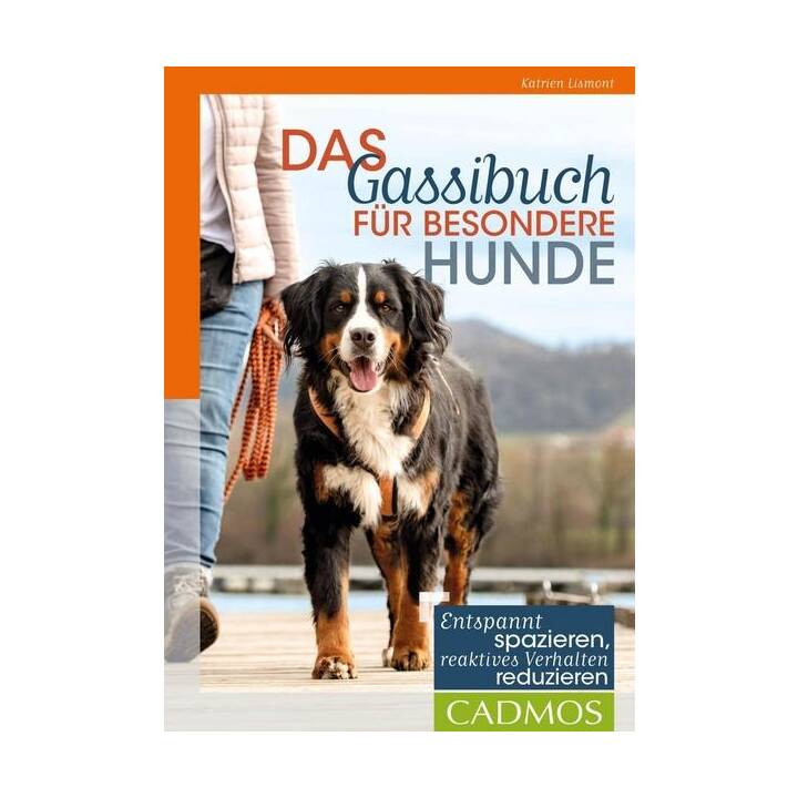 Das Gassibuch für besondere Hunde