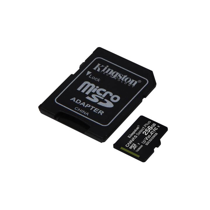 KINGSTON TECHNOLOGY MicroSDXC Canvas Select Plus (Class 10, 256 GB, 100 MB/s)