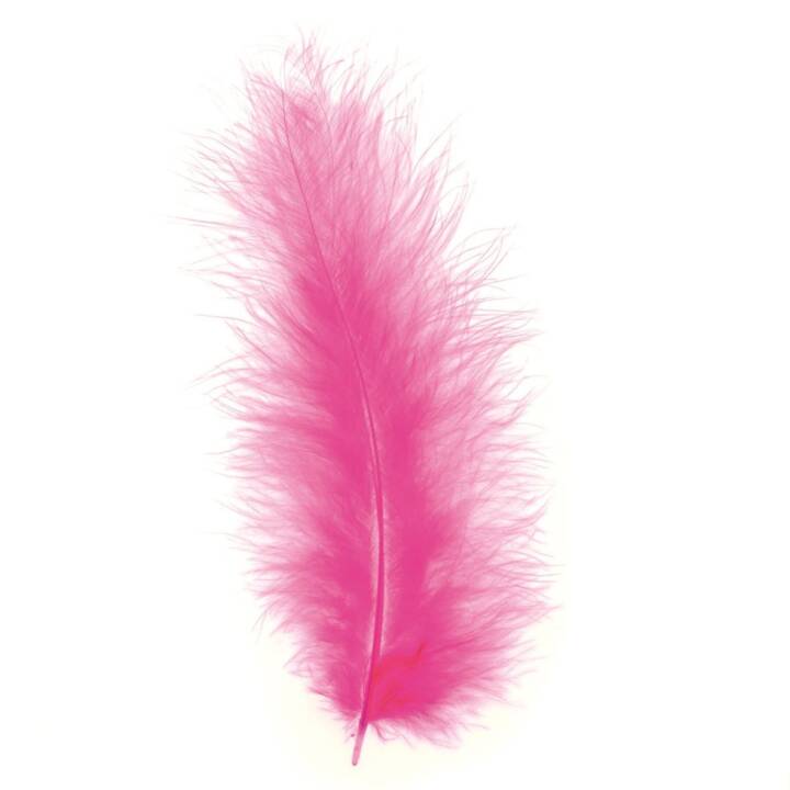 GLOREX Plumes (Pink, Plastique)