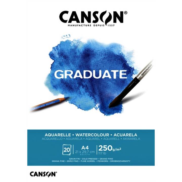 CANSON Papier pour peinture Graduate