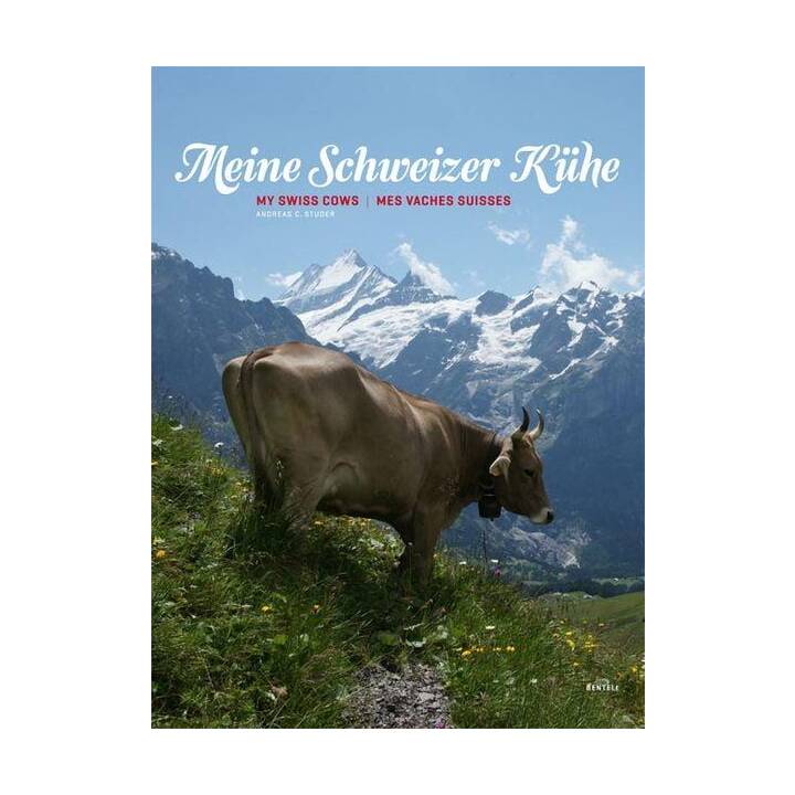 Meine Schweizer Kühe. My Swiss cows. Mes vaches suisses