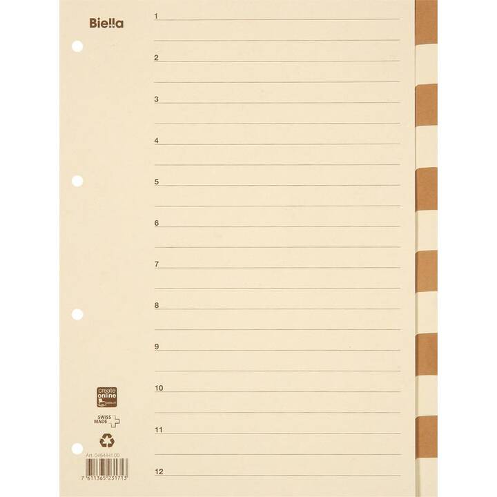 BIELLA Register (12 x A4, Farblich)