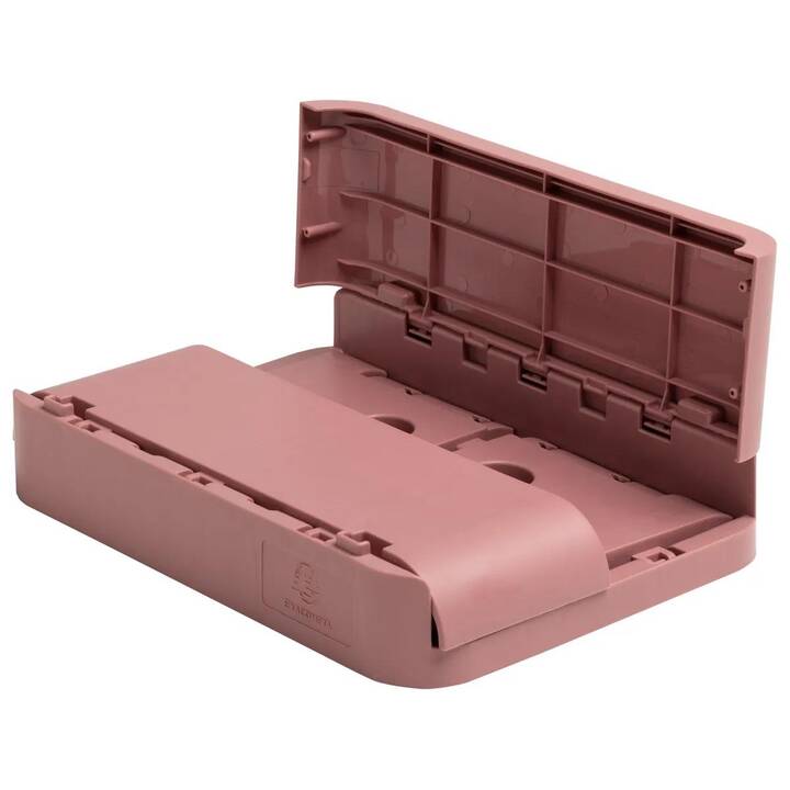 EXACOMPTA Aufbewahrungsbox Smart Case A6+ (193 mm x 95 mm x 188 mm)
