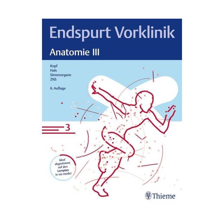 Endspurt Vorklinik: Anatomie III