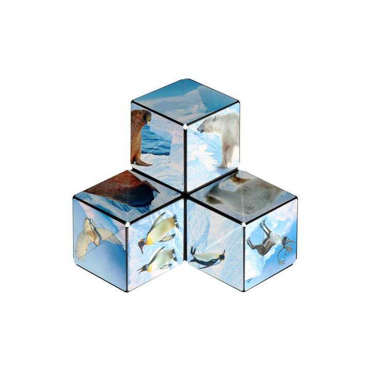 SHASHIBO Gioco scaltro Cube Arctic