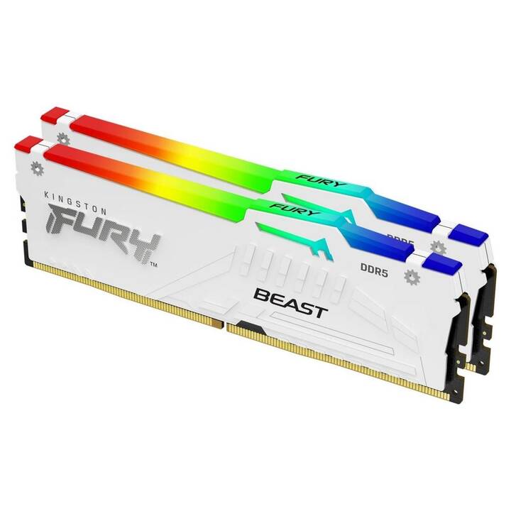 KINGSTON TECHNOLOGY FURY Beast (1 x 32 GB, DDR5 5600 MHz, DIMM 288-Pin)