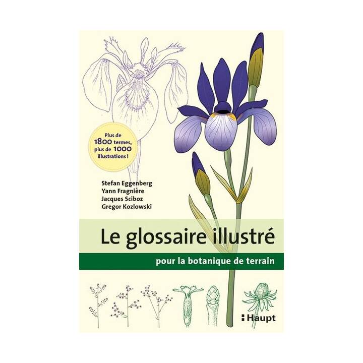 Le glossaire illustré pour la botanique de terrain