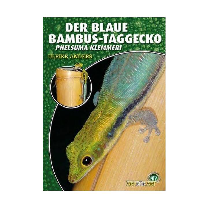 Der Blaue Bambus-Taggecko