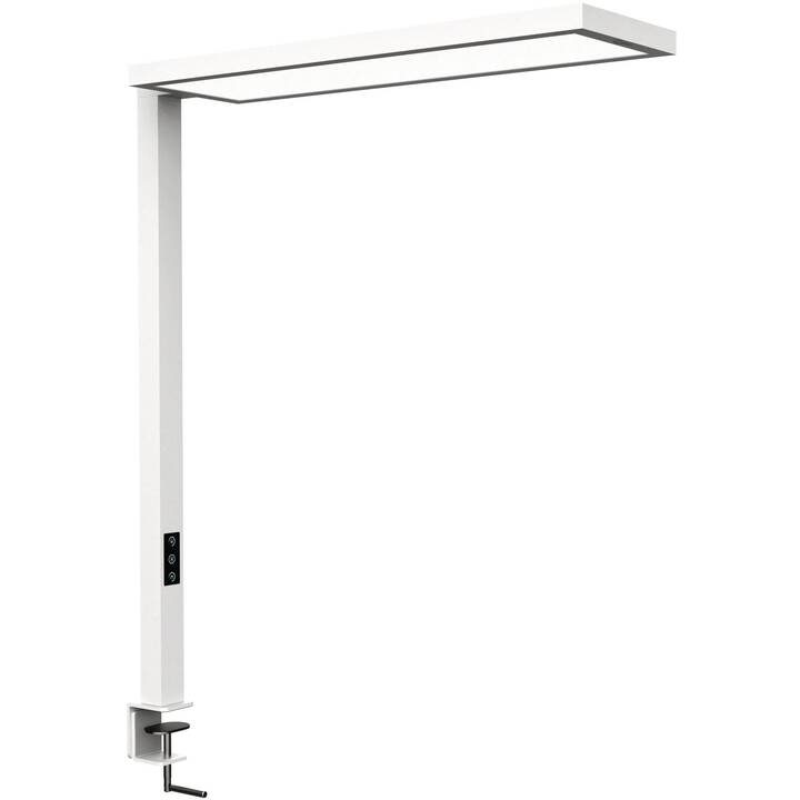 MAUL Lampe de table MAULsenja (Blanc)