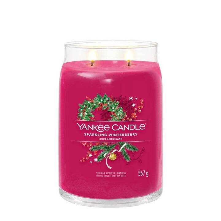 YANKEE CANDLE Bougie parfumée Sparkling Winterberry