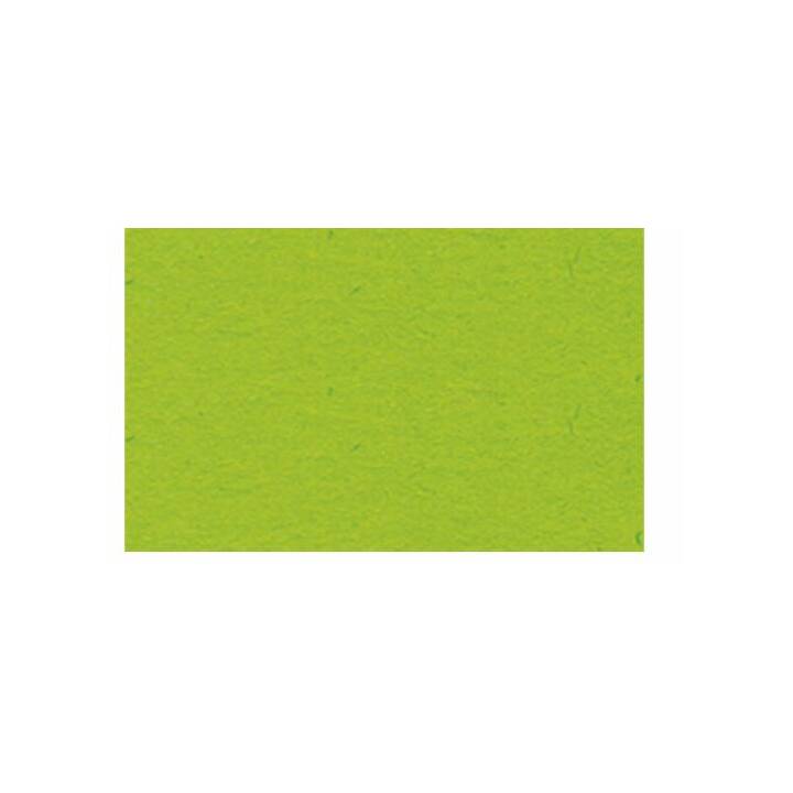 URSUS Cartone 51 (Verde chiaro, A3, 100 pezzo)