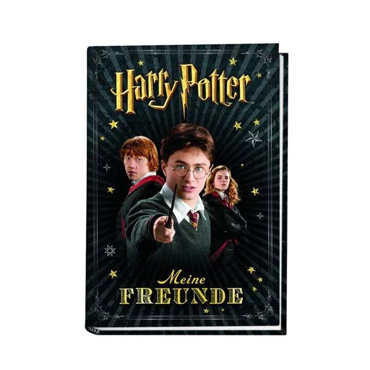 PANINI Libro amicizia Harry Potter (14.9 cm x 1 cm x 21.2 cm, Nero)