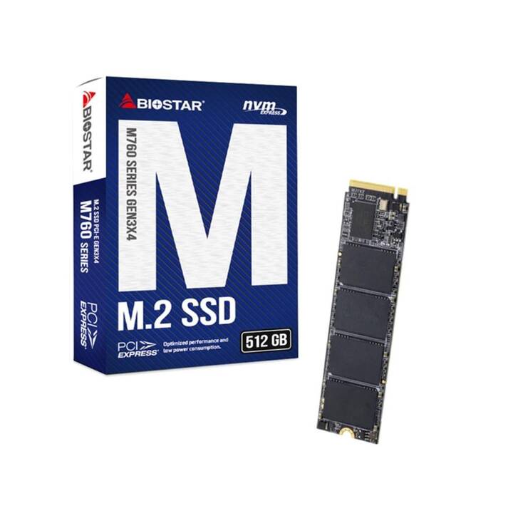 BIOSTAR M760 (PCI Express, 512 GB)