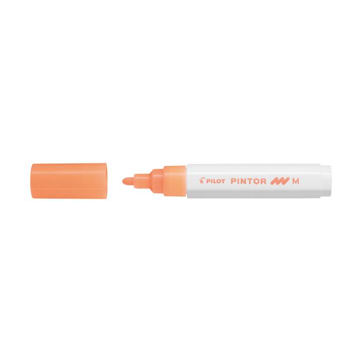 PILOT PEN Marqueur permanent Pintor (Orange, 1 pièce)