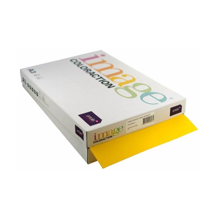 IMAGE Coloraction Carta colorata (500 foglio, A3, 80 g/m2)