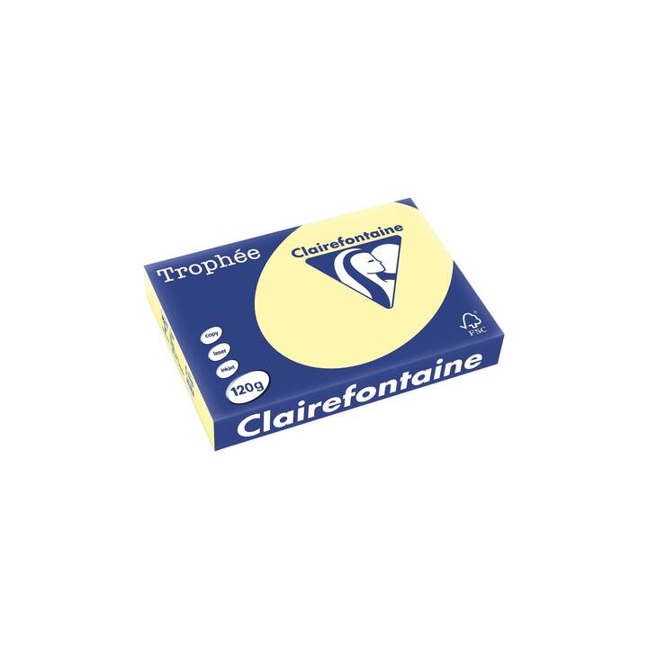 CLAIREFONTAINE Trophee Carta colorata (250 foglio, A4, 120 g/m2)