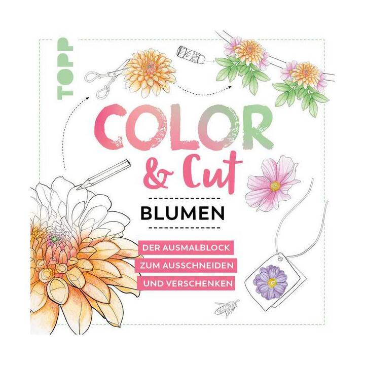 Color & Cut - Blumen
