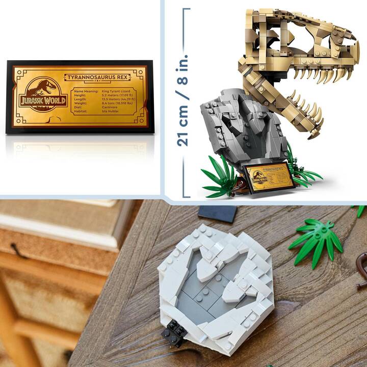 LEGO Jurassic World Les fossiles de dinosaures : le crâne du T. rex (76964)
