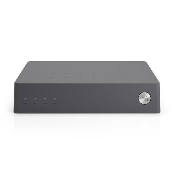 AUDIO PRO Link2 (Gris)