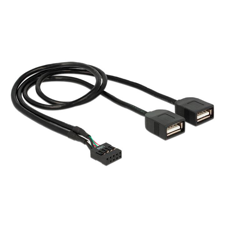 DELOCK Cavo USB (USB-Pinheader, USB di tipo A, 0.4 m)