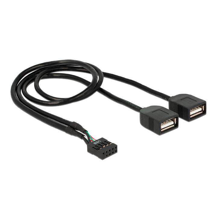 DELOCK Câble USB (USB-Pinheader, USB de type A, 0.4 m)