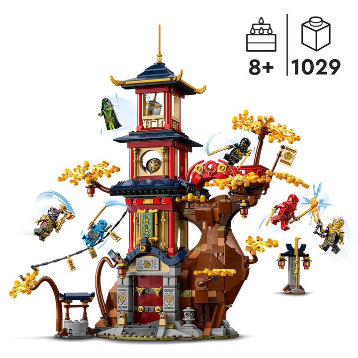 LEGO Ninjago Les noyaux d’énergie du temple du dragon (71795)