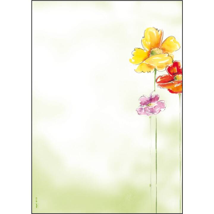 SIGEL Carta colorata (50 foglio, A4, 90 g/m2)