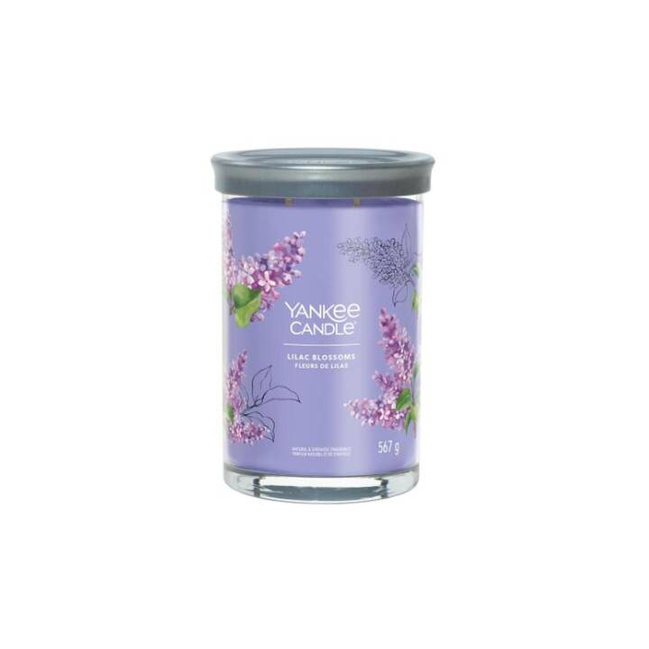 YANKEE CANDLE Bougie parfumée Lilac Blossoms