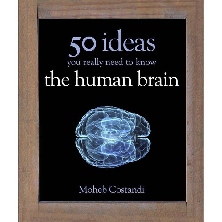 50 Human Brain Ideas You Really Need to Know