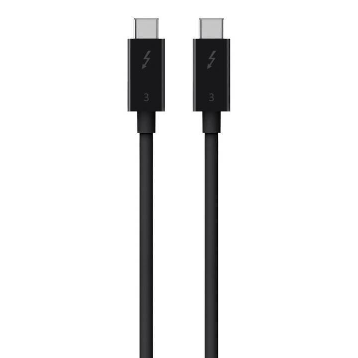 BELKIN Kabel (USB C, USB Typ-C, 0.8 m)
