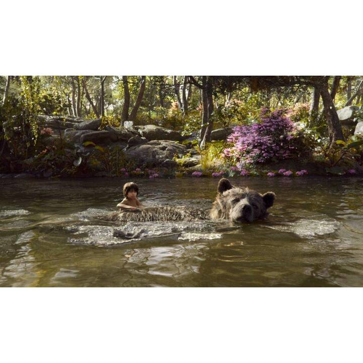 The Jungle Book (2016) (Blu-ray 3D + Blu-ray) (DE)