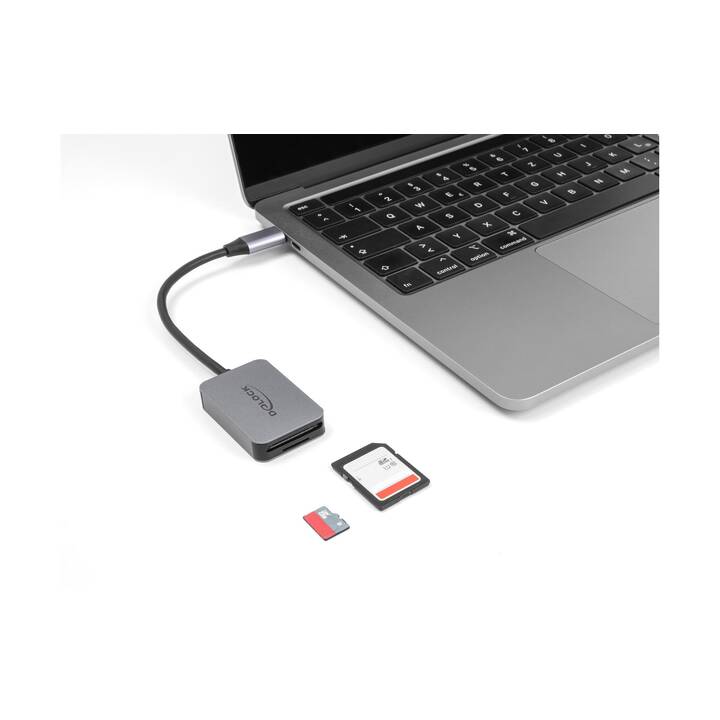 DELOCK Lettore di schede (USB Tipo C)