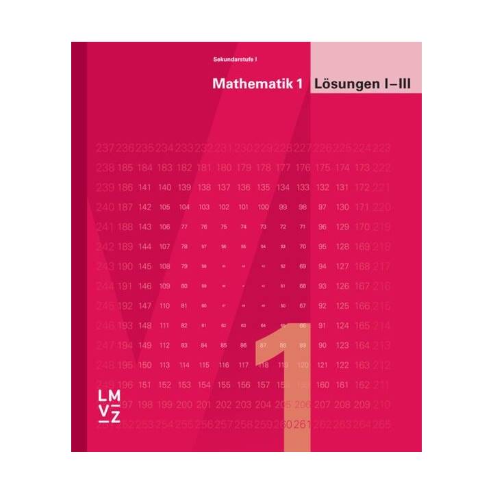 Mathematik 1 Sekundarstufe I / Arbeitsheft III