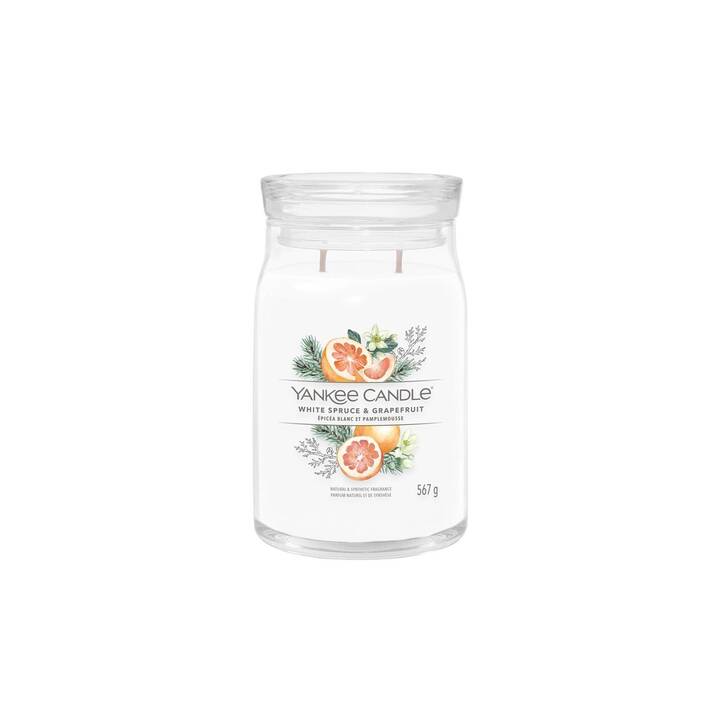 YANKEE CANDLE Bougie parfumée White Spruce & Grapefruit