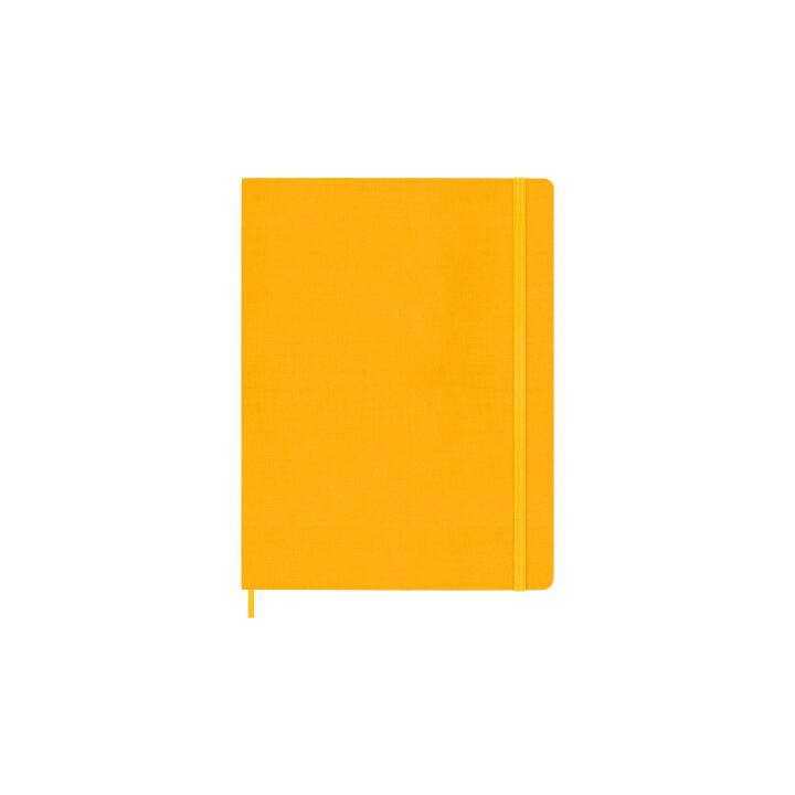MOLESKINE Notizbuch Color (19 cm x 25 cm, Liniert)