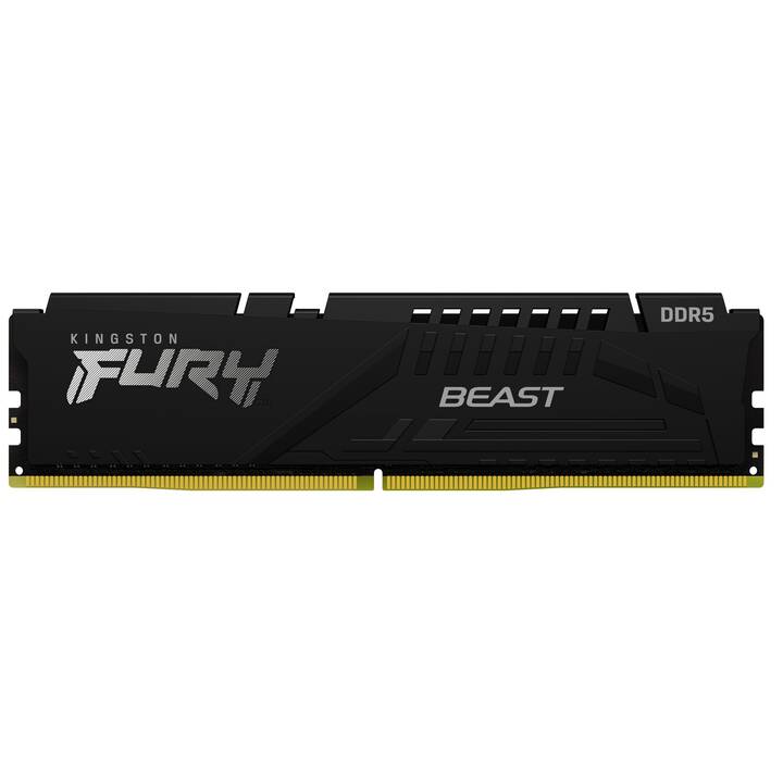 KINGSTON TECHNOLOGY FURY Beast XMP (2 x 16 GB, DDR5 6000 MHz, DIMM 288-Pin)