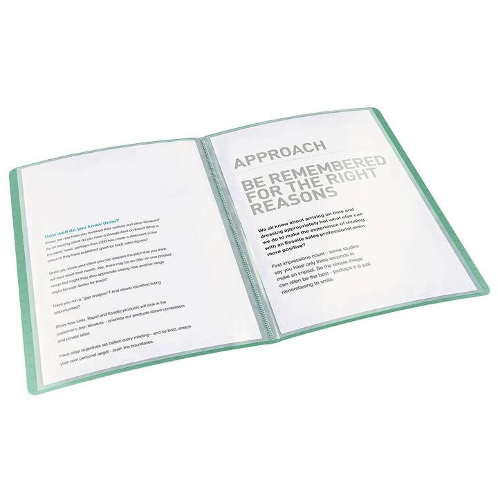 ESSELTE GROUP Libro della vista Colour'Ice (Verde, A4, 1 pezzo)