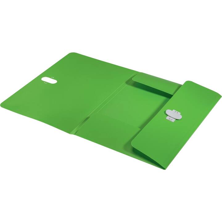 LEITZ Einlagemappe Recycle (Grün, A4, 1 Stück)