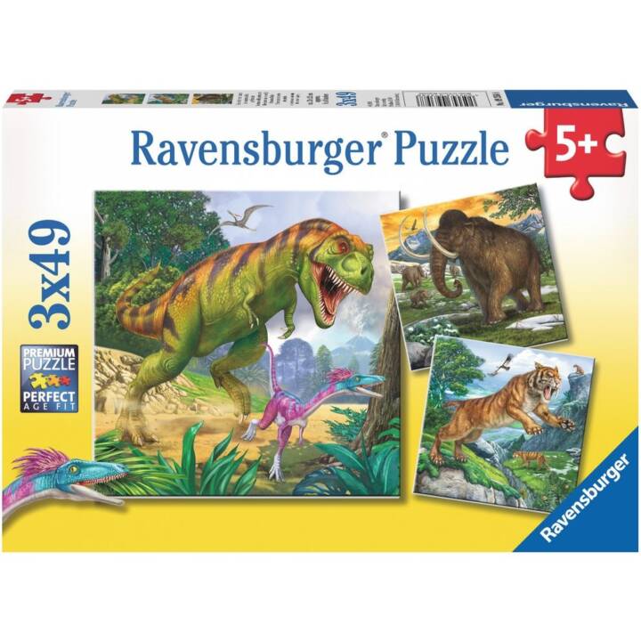RAVENSBURGER Dinosauro Animali Puzzle (3 x 49 x)