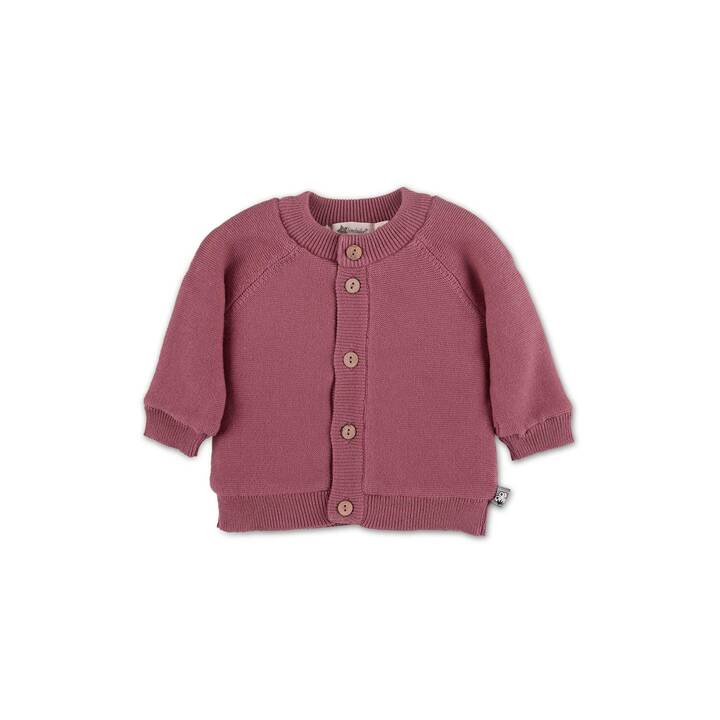 STERNTALER Veste pour enfants (86, Rose)