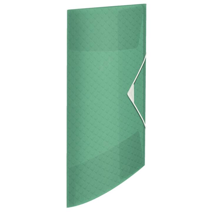 ESSELTE GROUP Dossier à élastique Colour'Ice (Vert, A4, 1 pièce)